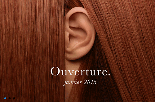philharmonie-de-paris-visuel-2015-inauguration-ouverture