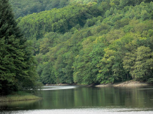 lac-de-chaumecon-parc-regional-morvan-format-paysages-festival-par-classiquenews-1